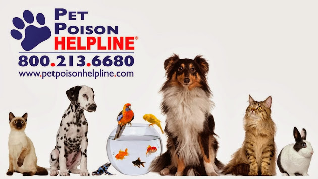 Pet Poison Hotline Banner