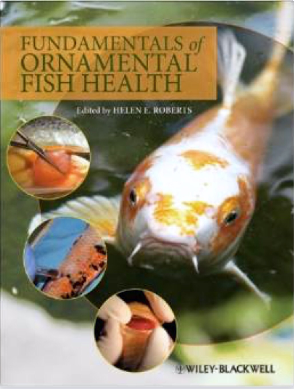 Fundamentals of Ornamental Fish