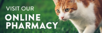 Online Pharmacy Banner