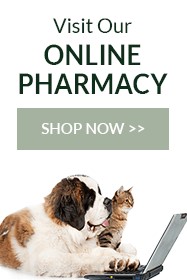 Online Pharmacy Banner